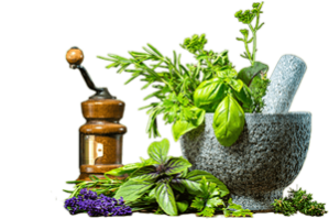 ayurvedic products